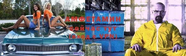 mdpv Бородино