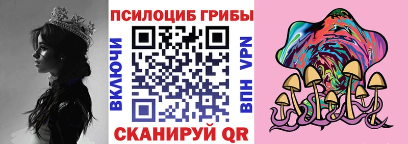 Псилоцибиновые грибы Magic Shrooms  Вологда 
